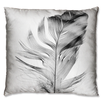 Elegant feather design cushion