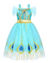 Aladdin Princess Fancy Dress