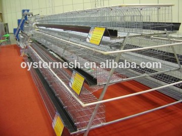 The Wire Mesh Chicken Cage