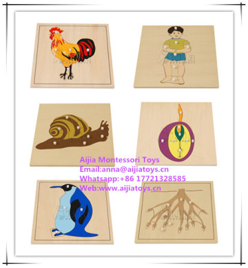 Montessori products/montessori material made in china