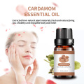 Best 100% Pure Essential Oil Cardamom Oil