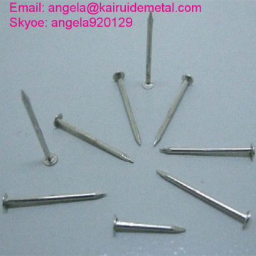 Electro Galvanized Concrete Steel Nail