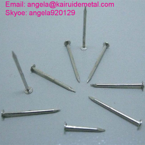 Electro Galvanized Concrete Steel Nail