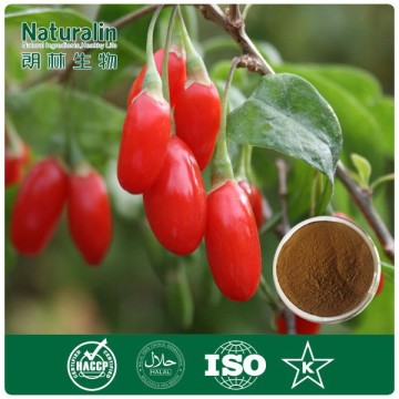 Pure Natural goji berry extract 30% polysaccharide for dietary supplement