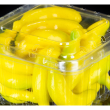 Caja de embalaje de plástico con forma de concha para frutas y verduras