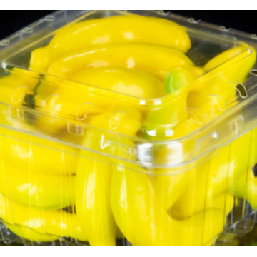 Caixa de embalagem de plástico em forma de concha para frutas e vegetais