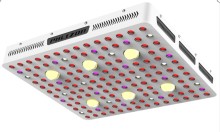 Amazon Best price Cob Led Grow Light