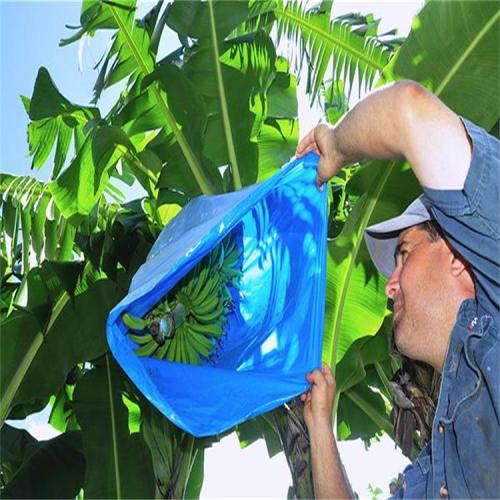 Blue Plastic Banana Protect Cover bag