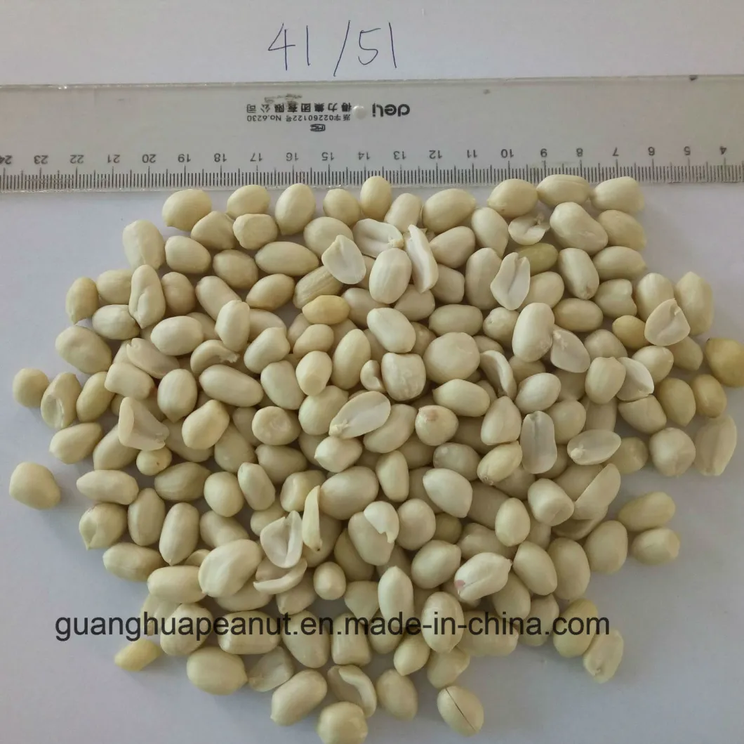 EU Quality Blanched Peanut Kernels 2021 New Crop