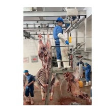 Cow Slaughter Machine for Slaughterhouses