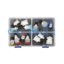 Auto Air Conditioner Leak Test Detection Plug Tool for R134a and R12 Connectors