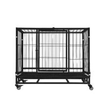 36-Inch Fence Dog Cages for Export - Special for Pet Owners in China