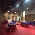 Table Tennis Flooring court mat