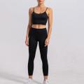 Fitness Yoga Apparels Women Gym Wear Set