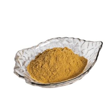 Crataegus Oxyacantha Extract/Hawthorn Berry Extract powder
