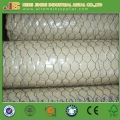 3/4" Mesh Chicken Wire Netting with Good Quality