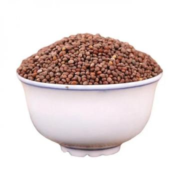 Perilla Seed in top quality