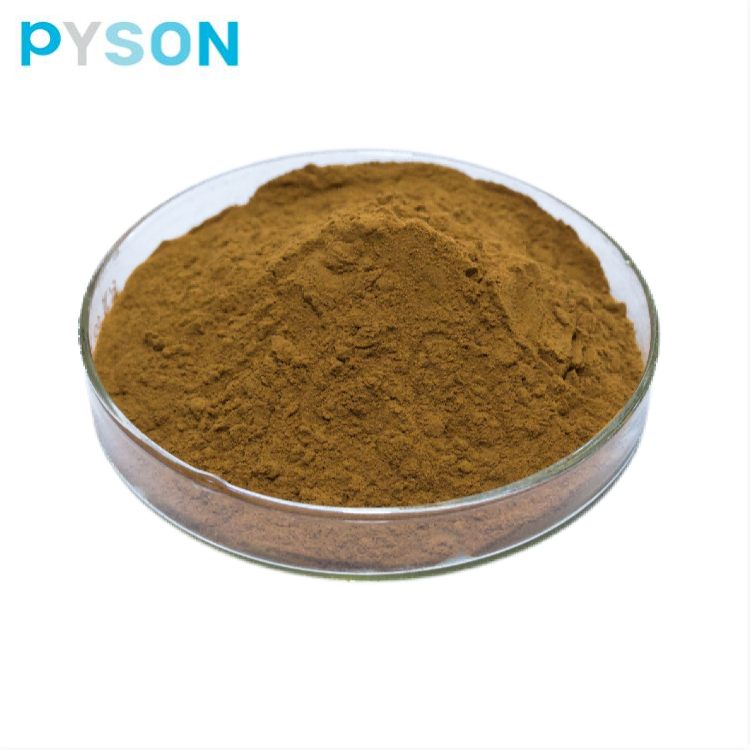 andrographis paniculata extract capsules