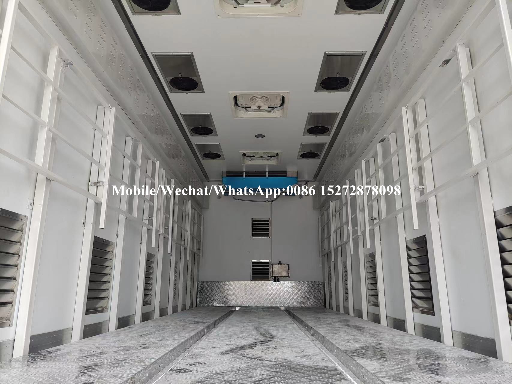 Portador de pollitos Foton (1) FOTON Chick Carrier (1)