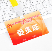 Custom Printing: Full Color Business Work Permit, Photo Plastic PVC ID Visa Cards