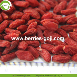 Factory Supply Super Food Dried Go Ji