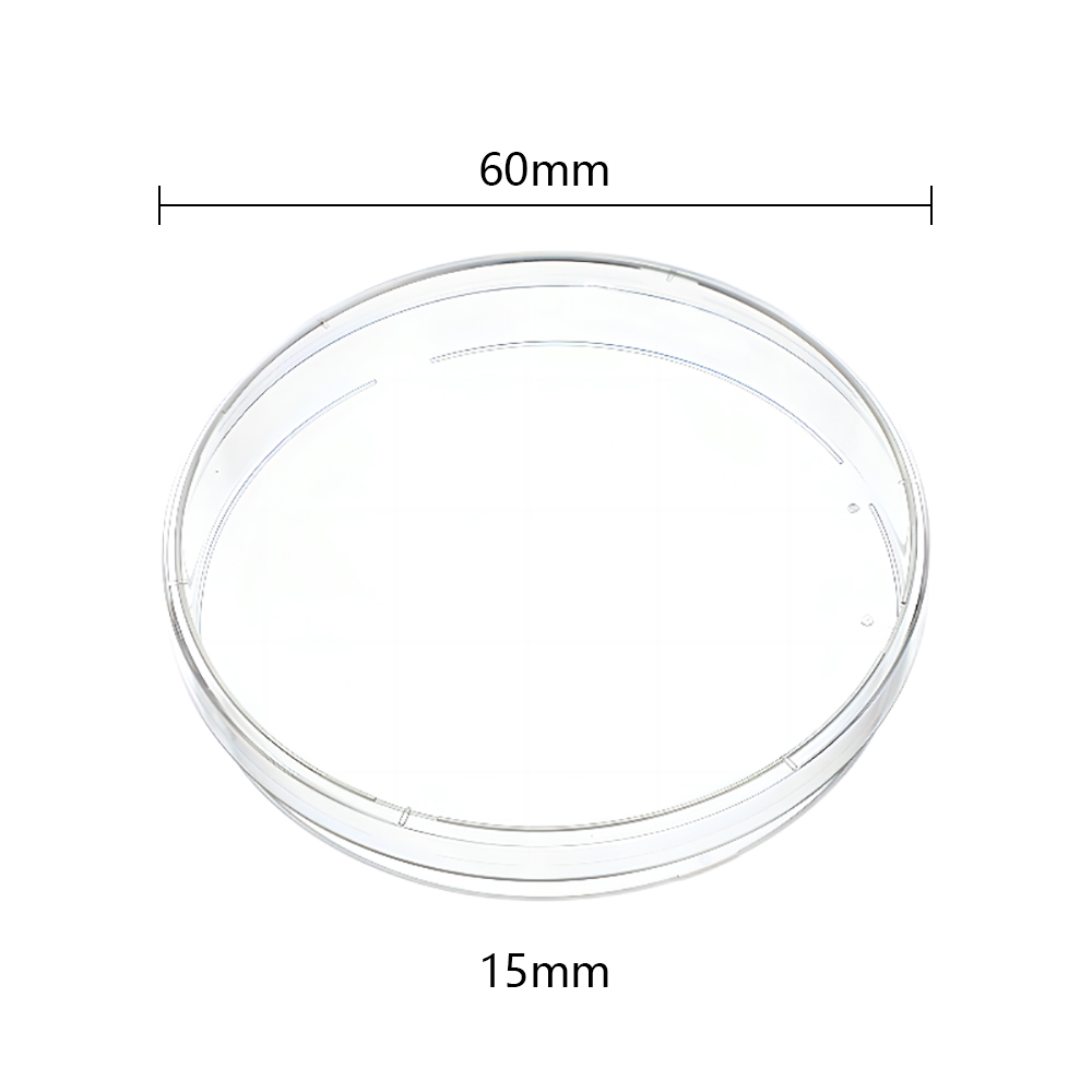 Plastik Petri Dish 60mm × 15mm Bentuk Bulat