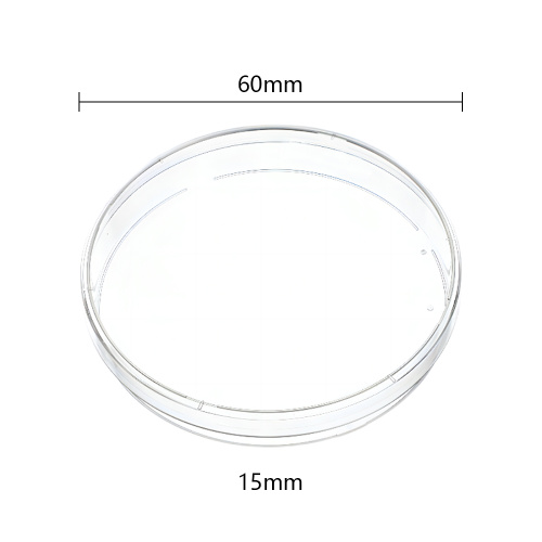 Plástico Petri Dish 60 mm × 15 mm de forma redonda