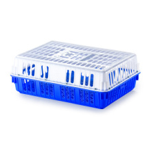 Plastic Chickens Transport Crate