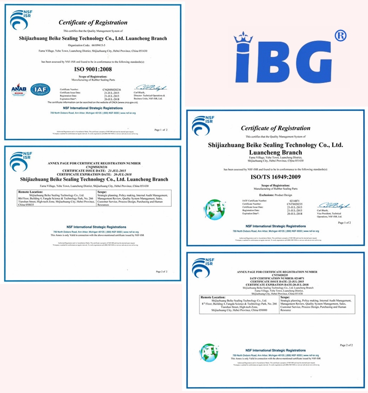 certificate IBG