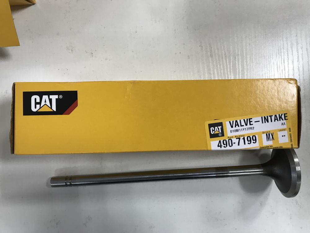 490 7199 Jpg 490 7199 Jpg