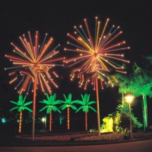 Hot Outdoor Decoration LED Firework Lights