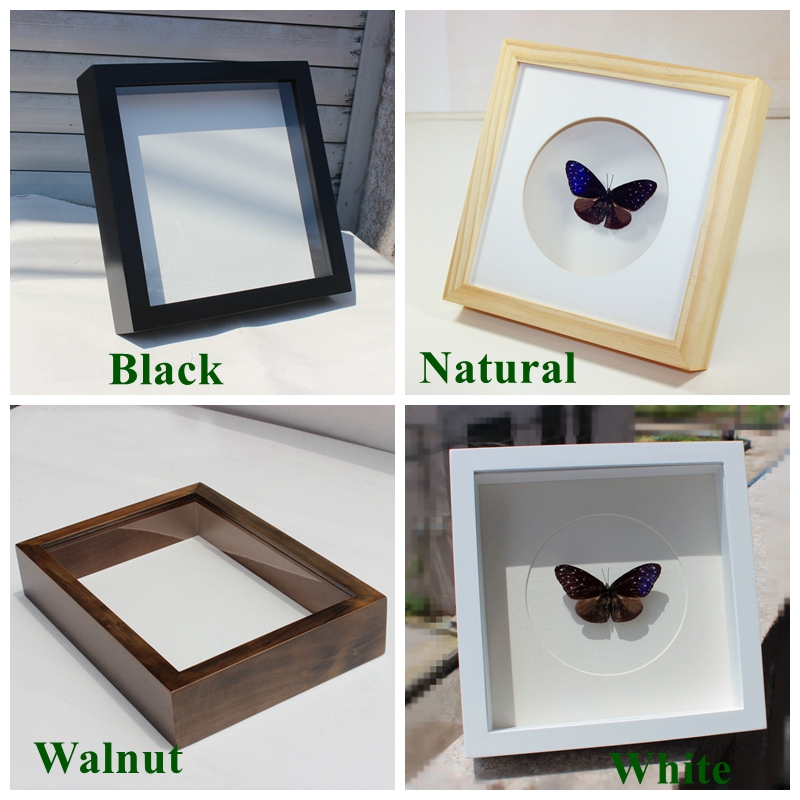 New design 10*10" solid shadow box butterfly specimens photo frame wall home decoration picture frame Wholesale