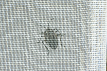 Mesh 25 Anti Insect Protection Nets