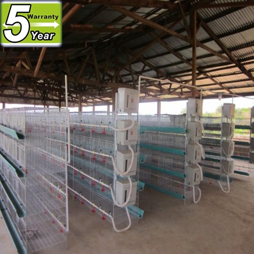 4-5 chicken per nest pvc coated types of bird chicken layer cage