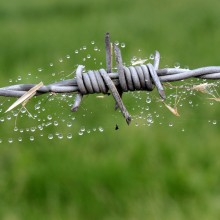 Galvanized Barbed Wire Roll 2 Strands 4 Points Farm Field Security Fence