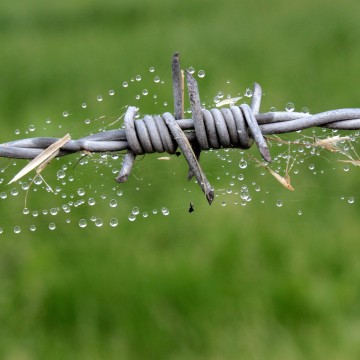 Galvanized Barbed Wire Roll 2 Strands 4 Points Farm Field Security Fence