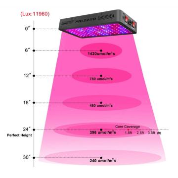 最もよいLEDは実生植物のためのライトを育てます