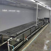 Fluidized Tunnel Freezer For IQF Onion