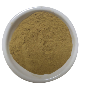 Wholesale Bulk High Quality Radix Puerariae Extract Powder