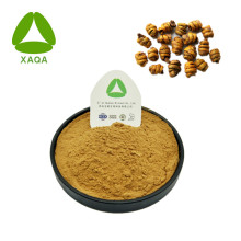 Dendrobium Officinale Extract Powder Anti-Aging Material