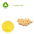 Coenzyme Q10 99% Pure enzyme CO Q10 POUDRE