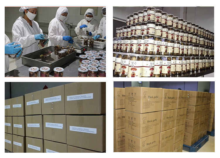 Additive Free Black Garlic Powder-Professional Export