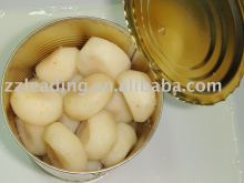 Canned Water Chestnut