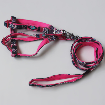 Adjustable custom logo dog harness and leash