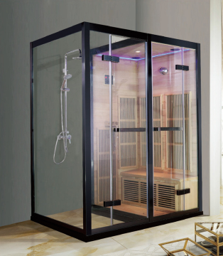 steam sauna shower room