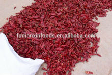 hot dried Chilli