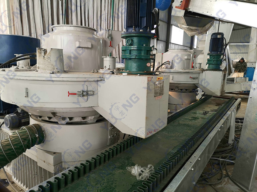 Complete Palm Biomass Fuel Pellet Production Line