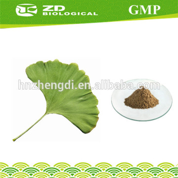 Health Care Supplies ginkgo biloba leaf extract in herbal extact