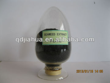 brown seaweed extract powder