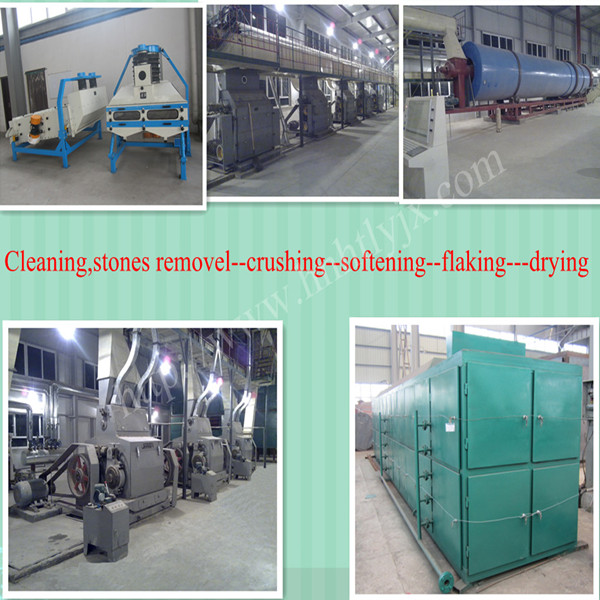 Soybean Oil Machine, Top 10 Oil Machine Brand